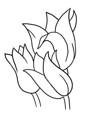 15 Flower Outline Drawing Free Cliparts That You Can Download To You