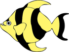 Animals   Aquatic   Fish   Clipart   Fish Colors   Public Domain Clip