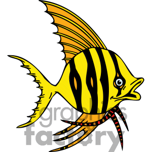 Crazy Looking Angel Fish In Yellow Orange Red And Black