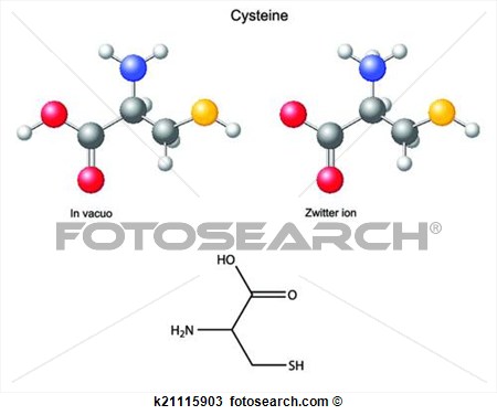 Cysteine  Cys    Chemical Structural Formula And Models Amino Acid
