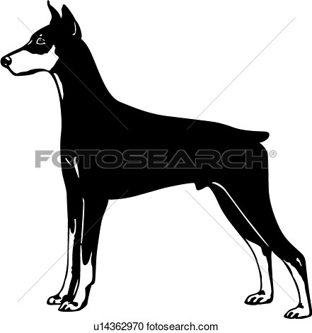     Doberman Pinscher Chien Exposition Dog Voir Clipart Grand Format