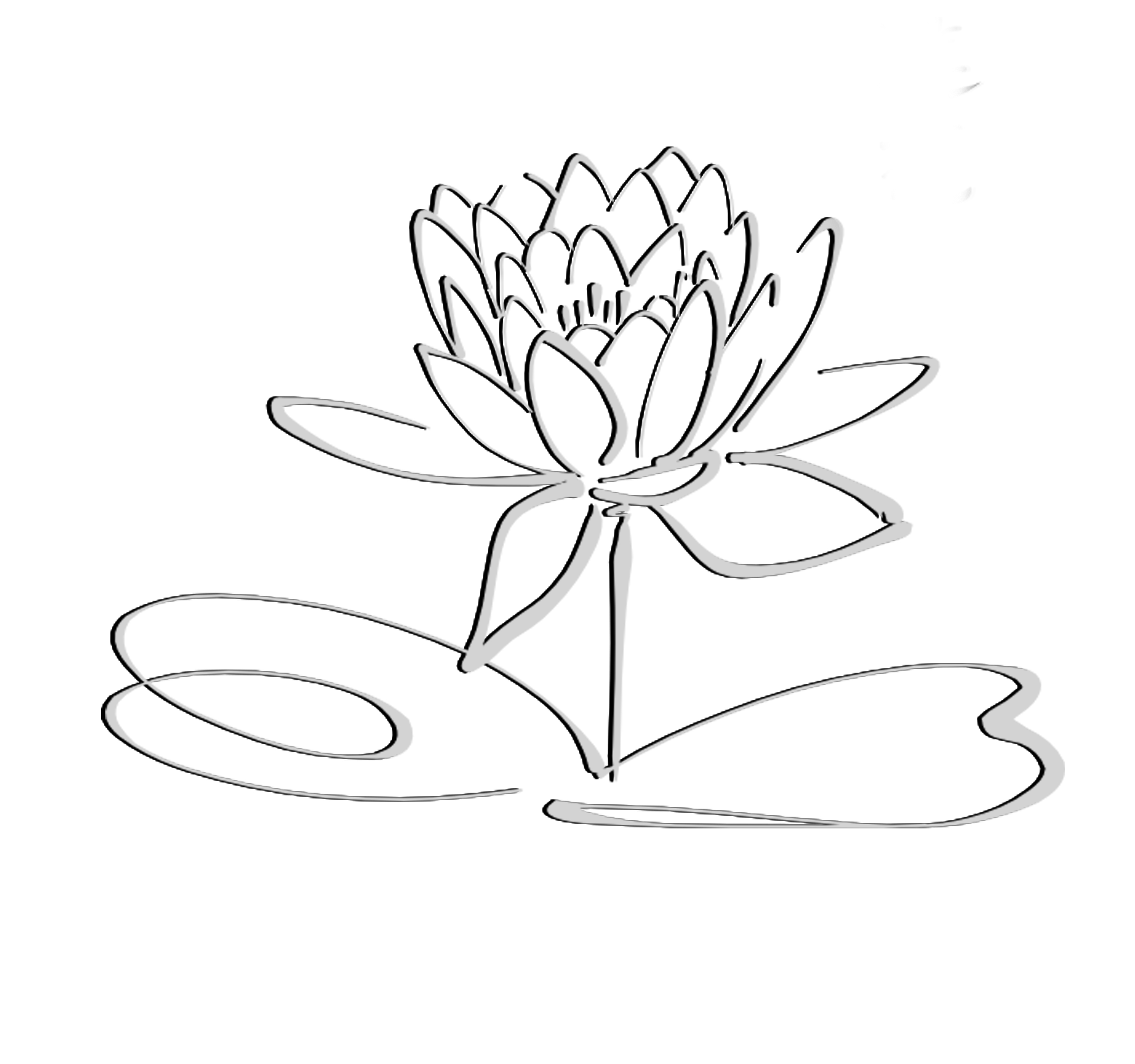 Lotus Logo Black Grayshadow Flower Only   Free Images At Clker Com