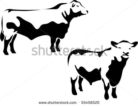 Stylized Aberdeen Angus Bull Stock Vector 55458520   Shutterstock
