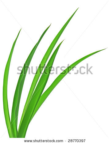 There Is 54 Free Grass Blades Free Cliparts All Used For Free
