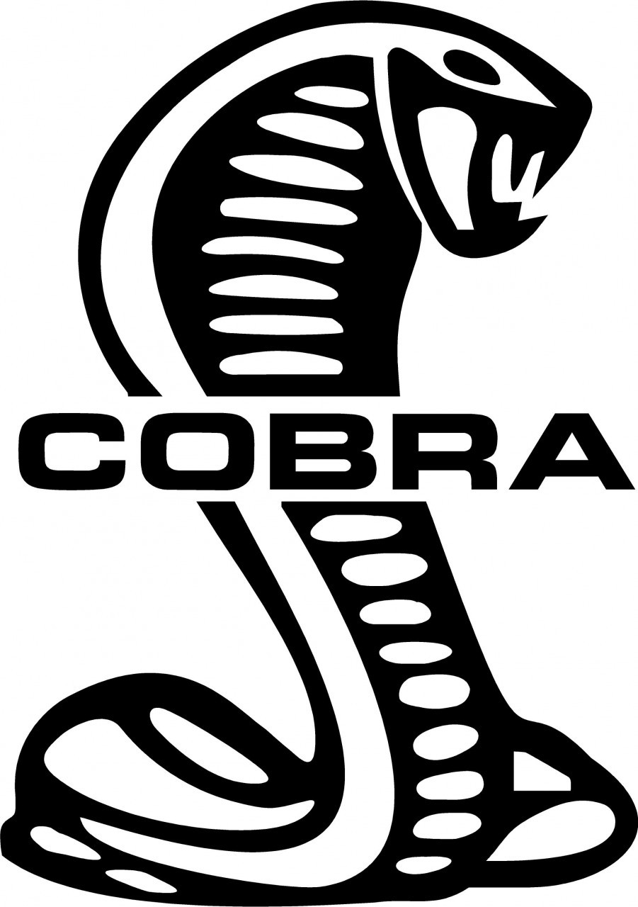10 Cobra Snake Cartoon Free Cliparts That You Can Download To You
