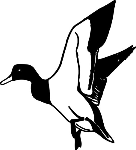 Flying Duck Clipart Black And White 6 Inch Flying Mallard Duck