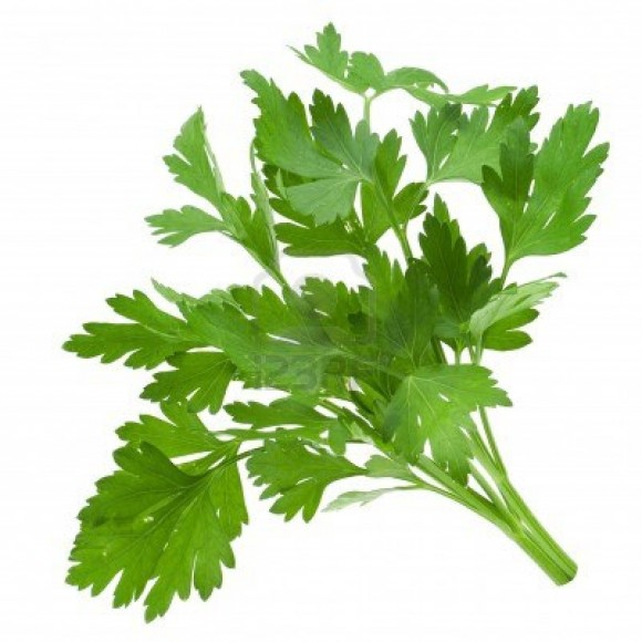 Parsley   More Than Just A Simple Spice   Healthy Food House