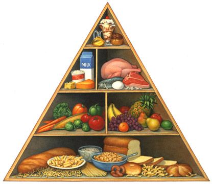 Piramida  Ywno Ciowa   Zdrowa Dieta Ryby Przepisy Dieta Zdrowie