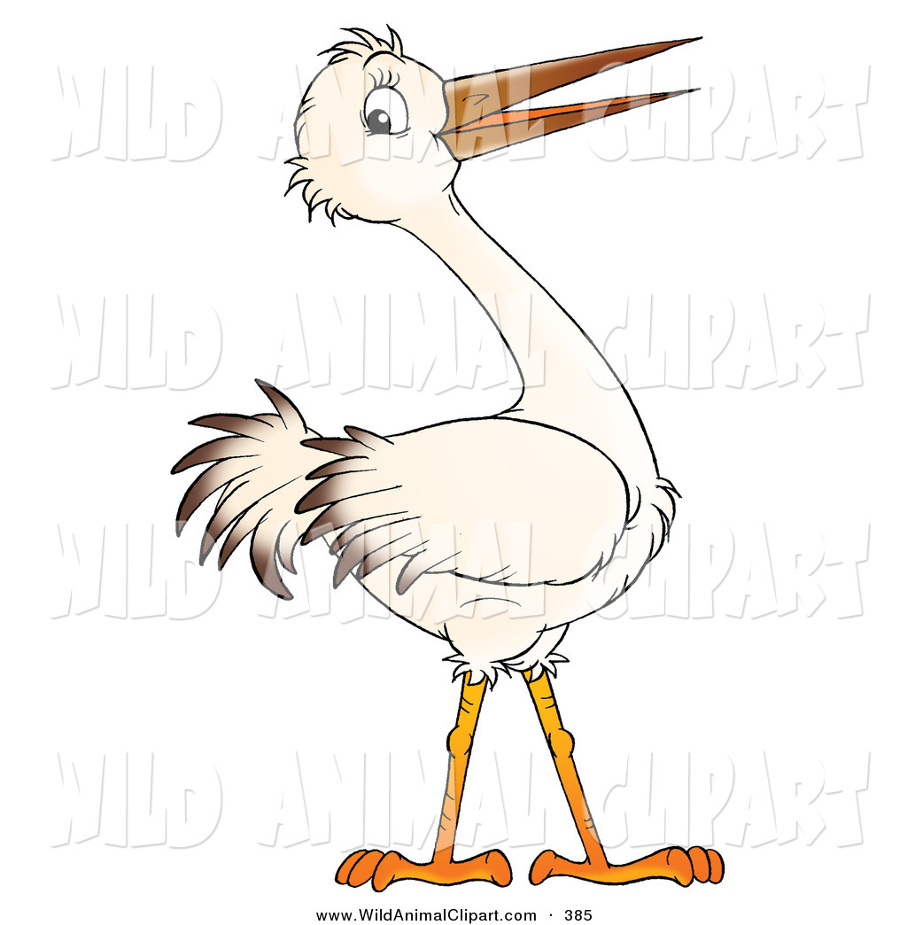 Beak Clipart Clip Art Of A White Bird With A Long Beak And Brown