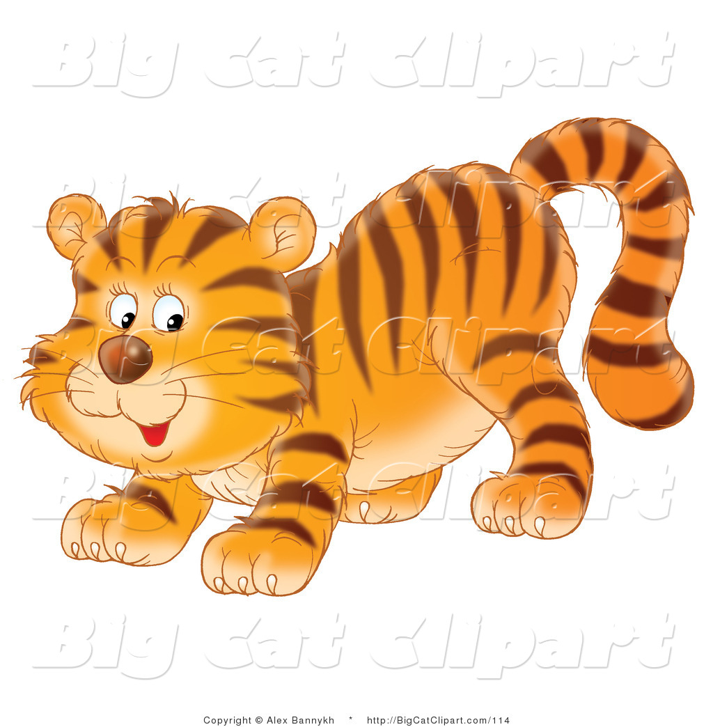 Big Cat Clipart Of A Happy Playful Tiger Cub By Alex Bannykh    114