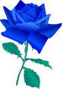 Blue Rose Corners Clipart