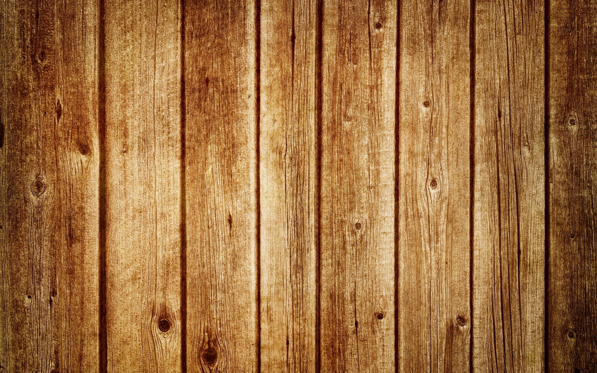Board Wood Tree Macro Hd Wallpapers   Board Wood Tree Macro