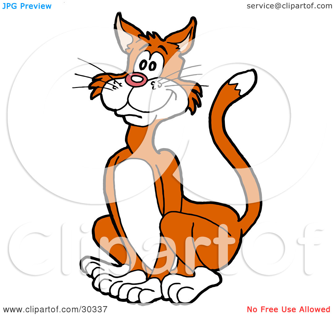 Crazy Cat Clipart Clipart Illustration Of A