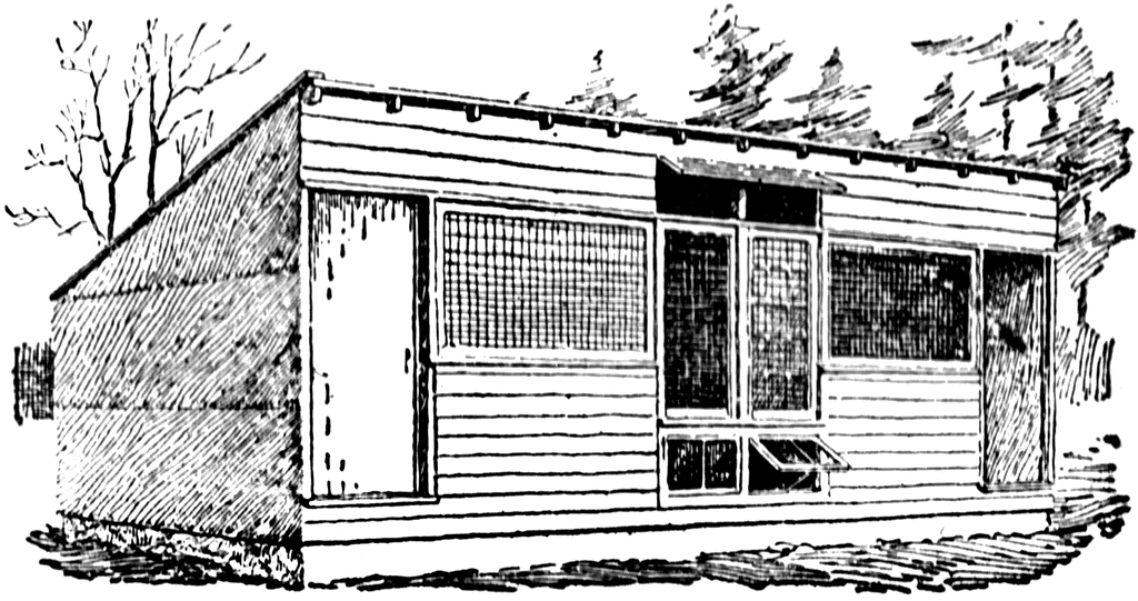 Front View Of A Hen House   Clipart Etc