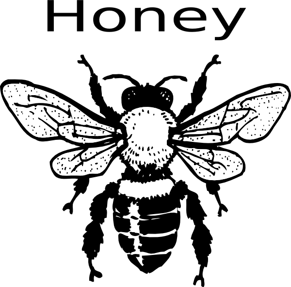 Honey Bee Clip Art At Clker Com   Vector Clip Art Online Royalty Free    