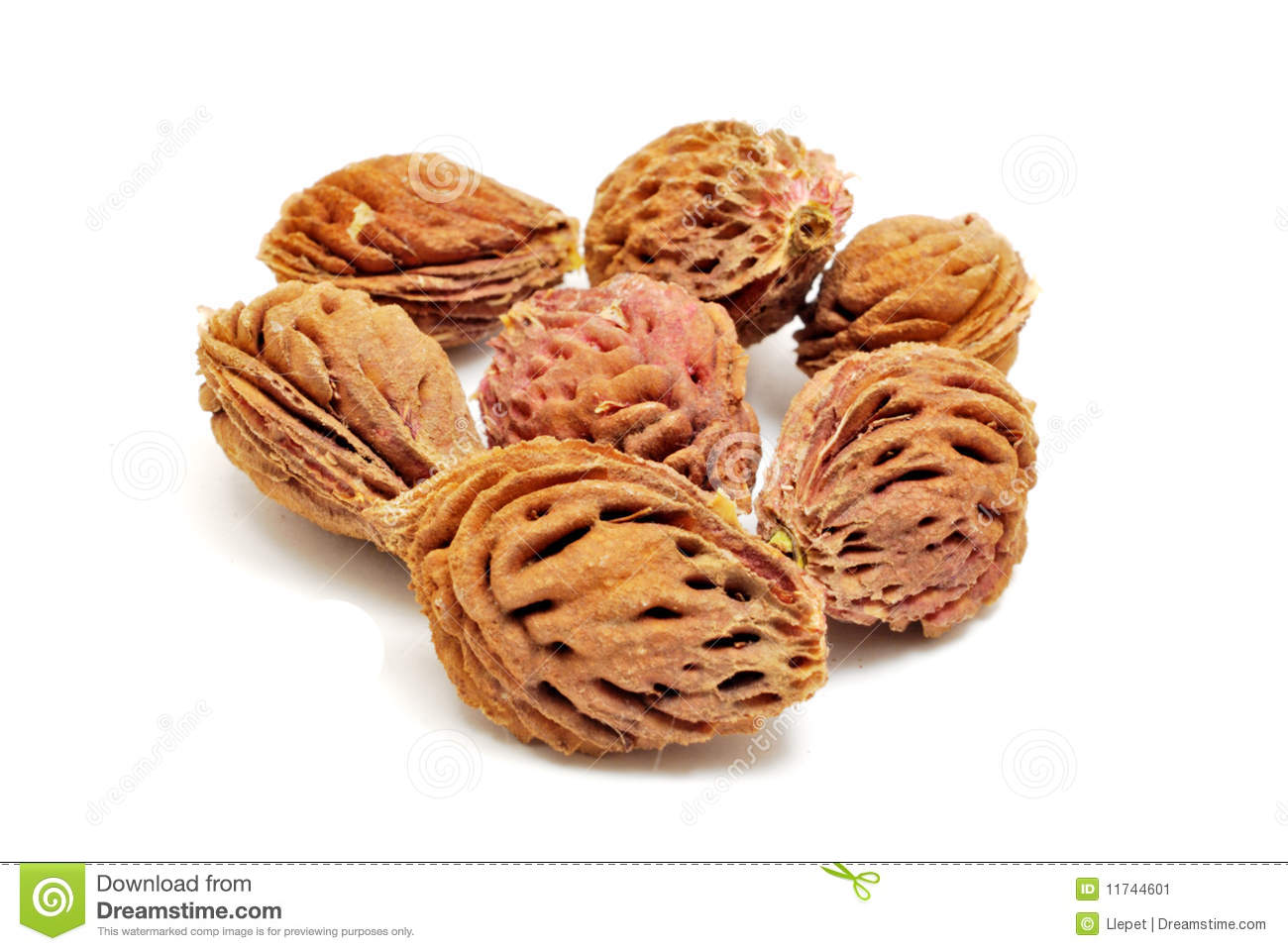 Peach Pit Clipart Peach Seeds Isolated On White