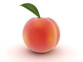 Peach Pit Illustrations And Stock Art  6 Peach Pit Illustration
