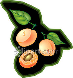 Peaches And Peach Pits   Royalty Free Clipart Picture