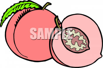 Two Peaches One Cut In Half Showing The Pit Or Seed Clipart Image