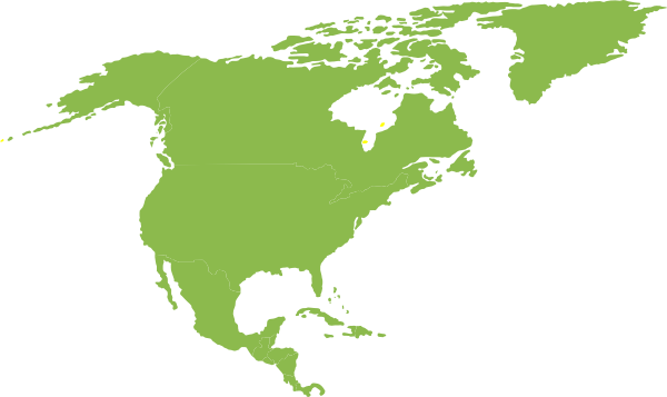 Continent Of North America Green Clip Art At Clker Com   Vector Clip    
