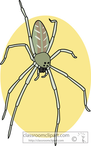 Spider Clipart   Spiders Green Lynx   Classroom Clipart