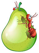 Spoiled Food Clipart A Pear With Two Ants