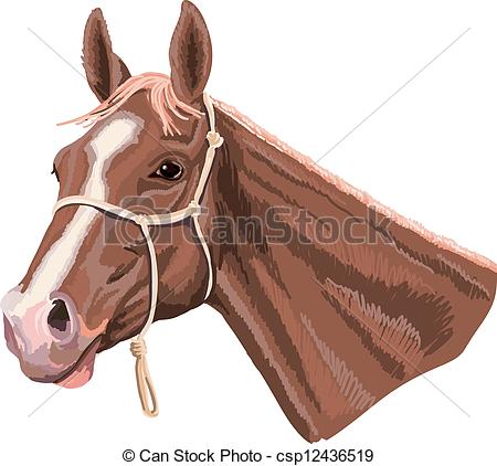 Vector Clip Art Of Horse With Halter   Horse Head Style Looks Like