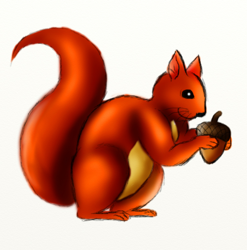 Animated Squirrel Clipart Cute Squirrel Clipart