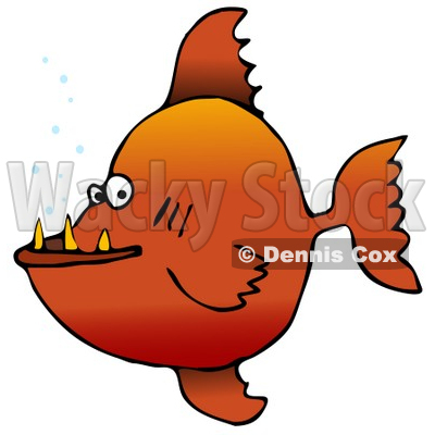 Mean Orange Pacu Pirhanna Fish With Sharp Teeth Animal Clipart