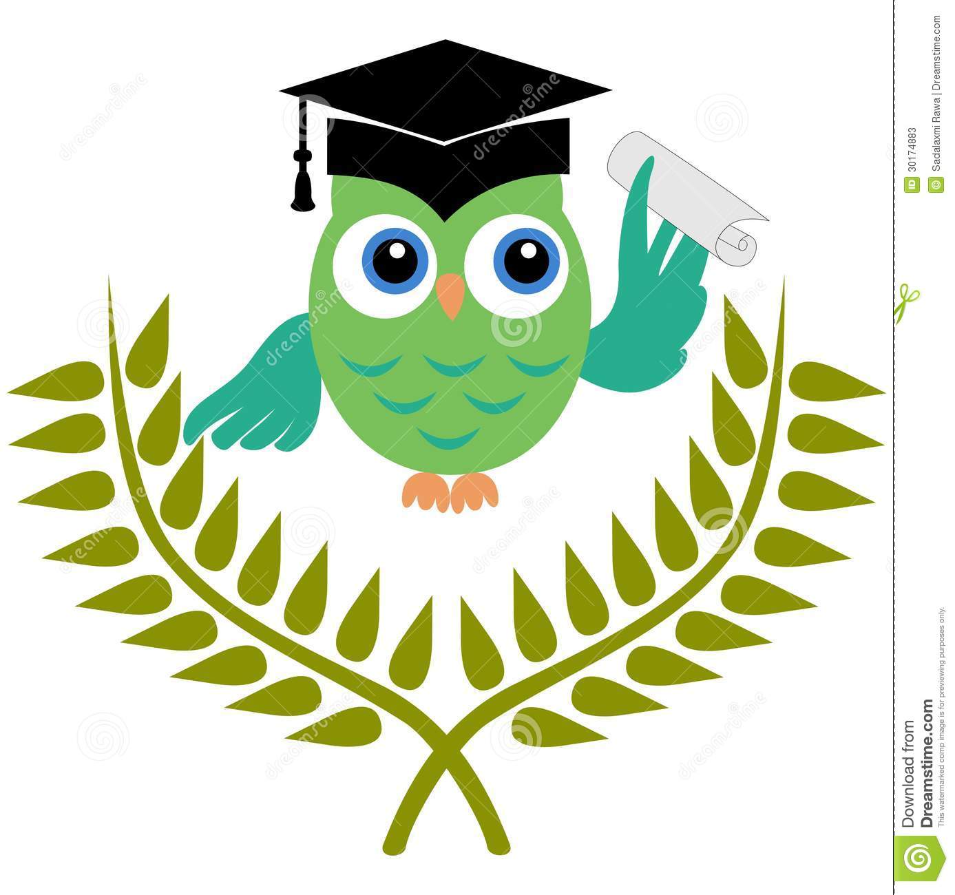 Owl With Graduation Degree Stock Photos   Image  30174883