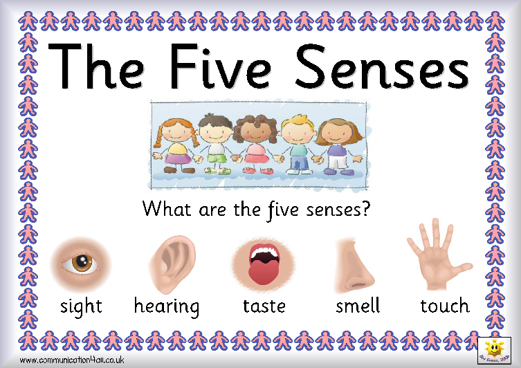Senses Which Part Of Their Bodies Are Associated With Those Senses
