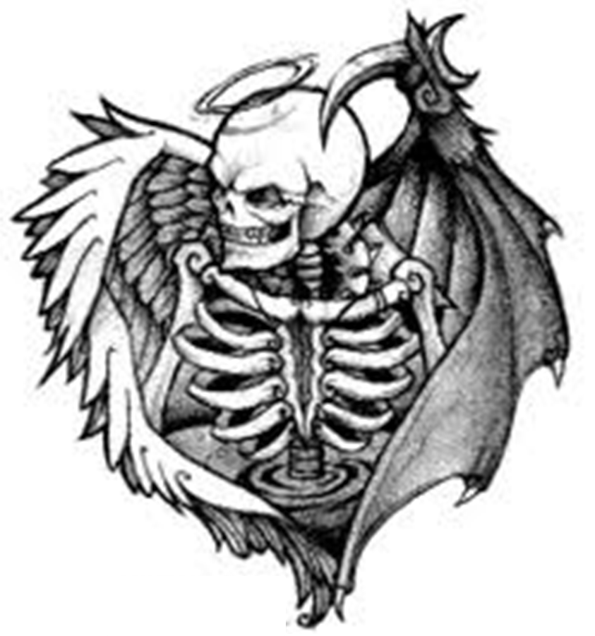 Skull   Free Images At Clker Com   Vector Clip Art Online Royalty