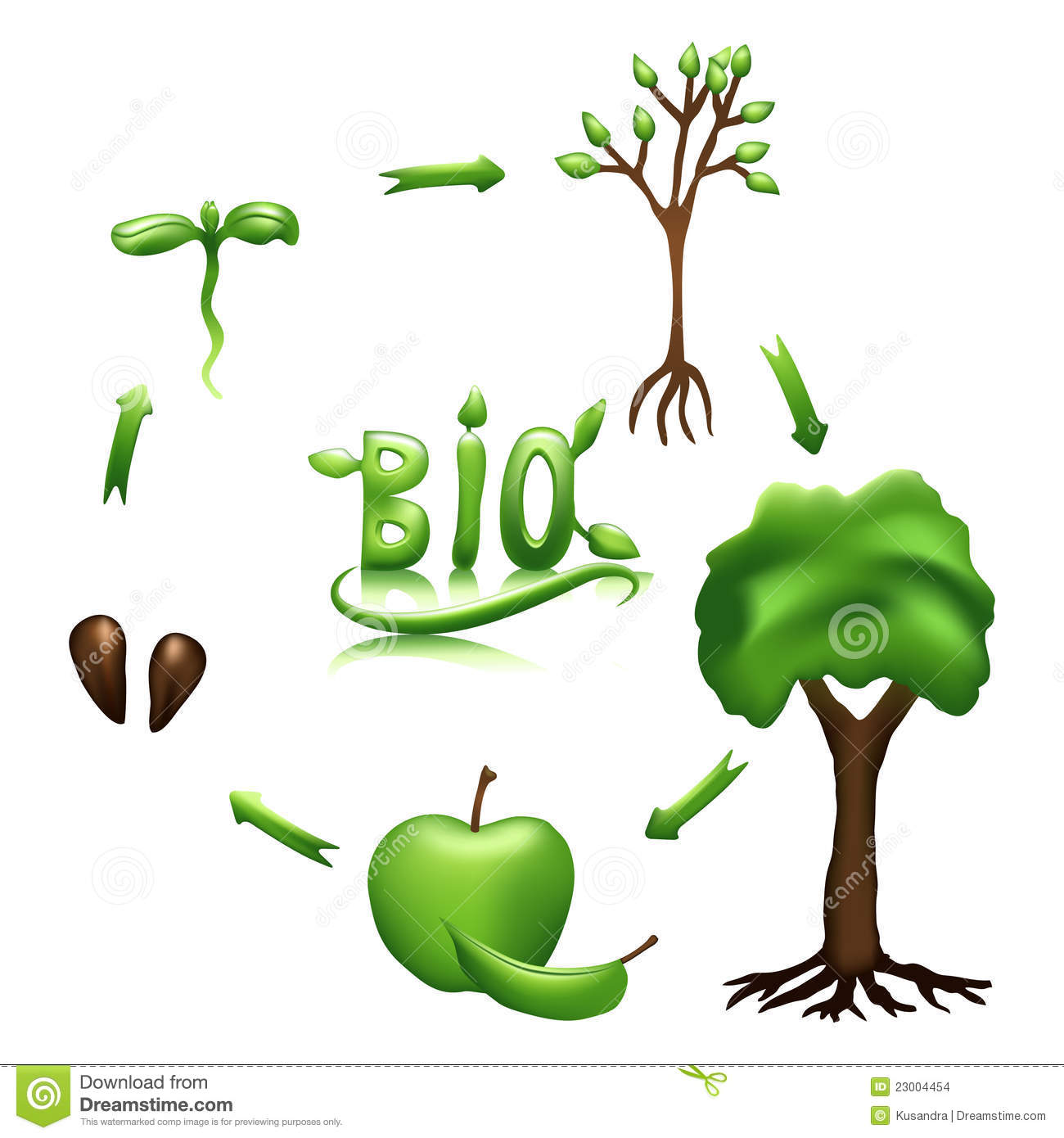 Apple Life Cycle And Bio Sign Stock Images   Image  23004454