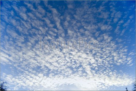 Cirrus Cloud Clipart Image Of Cirrus Clouds In Blue