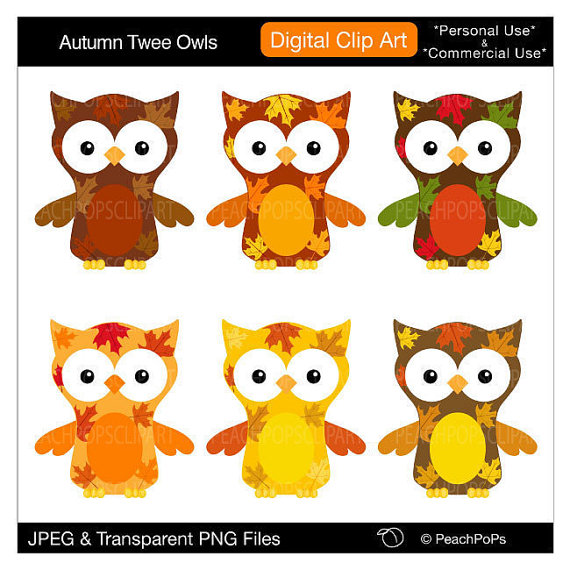 Clip Art Owl Digital Clipart Owls Cute Holiday Fall Thanksgiving