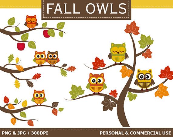 Fall Owl Clip Art