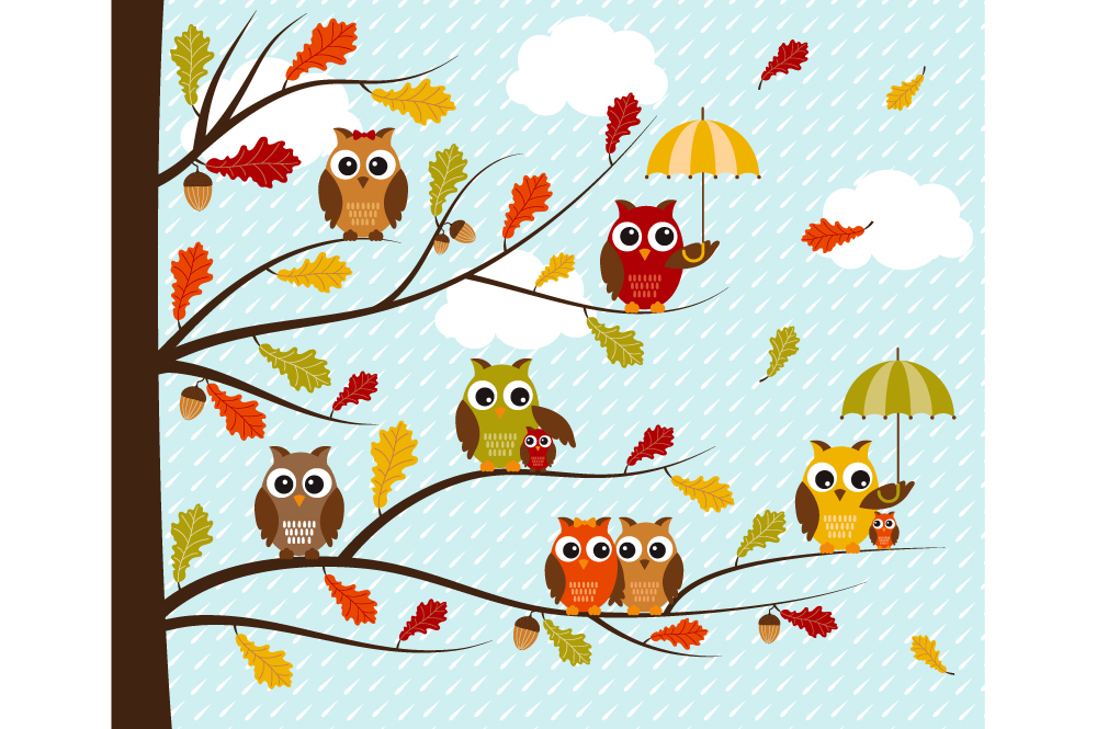Fall Owls Clip Art   Illustrations On Creative Market