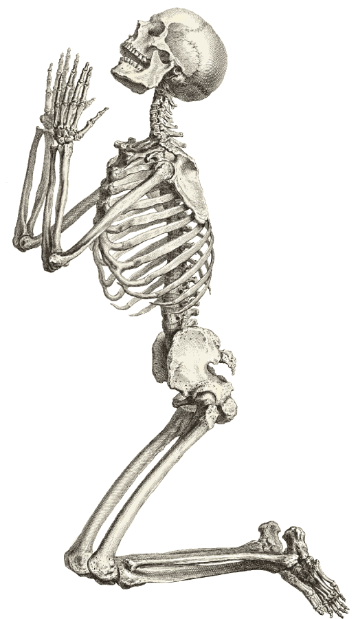 Free Clipart Of Skeleton Clipart Of A Skeleton Begging On Its Knees