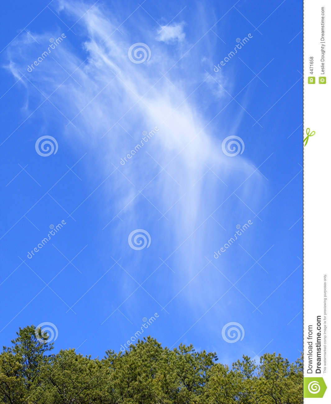 Heavenly Cirrus Cloud Royalty Free Stock Photos   Image  4471658
