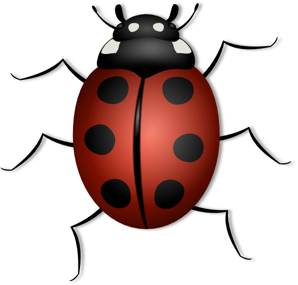 Lady Bug Clip Art At Clker Com   Vector Clip Art Online Royalty Free    