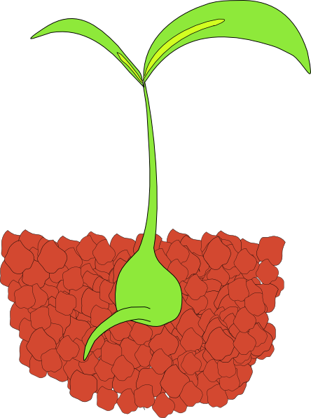 Plant Clip Art At Clker Com   Vector Clip Art Online Royalty Free