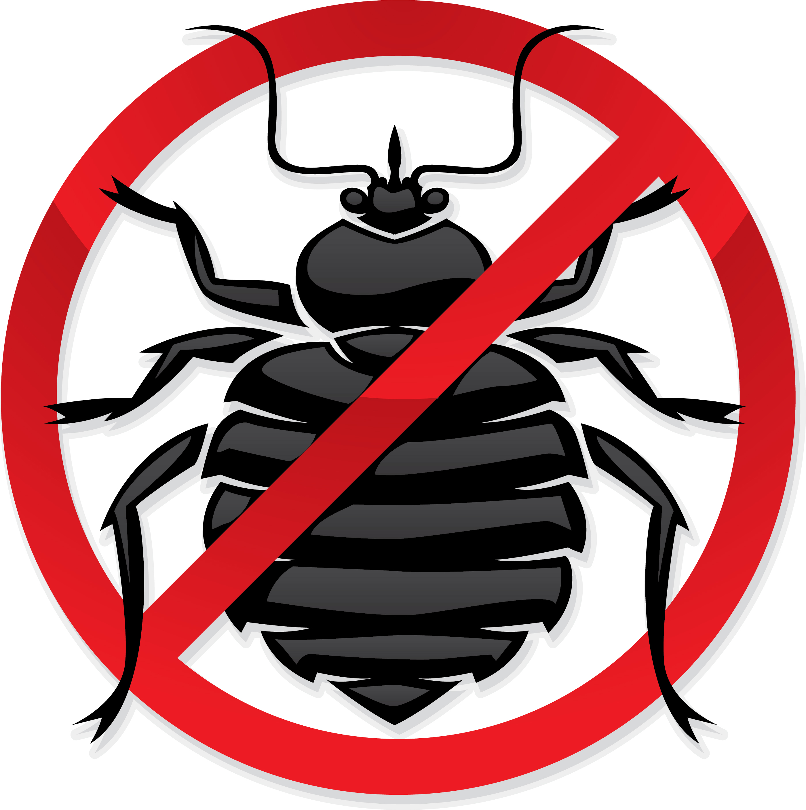 Professional Bed Bug Exterminator   Bethlehem Pest Control   Bethlehem    