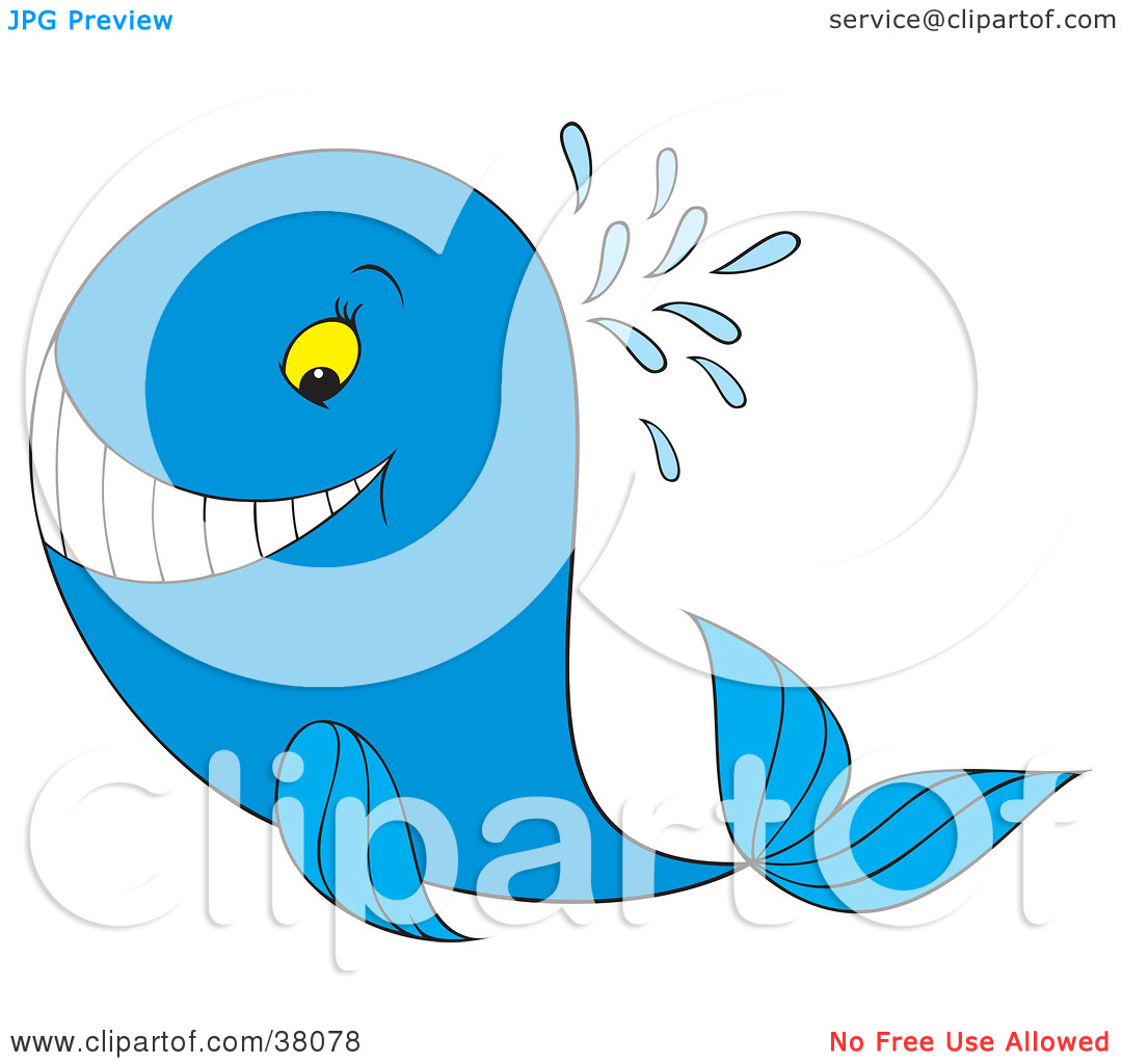 Twin Baby Whale Clipart
