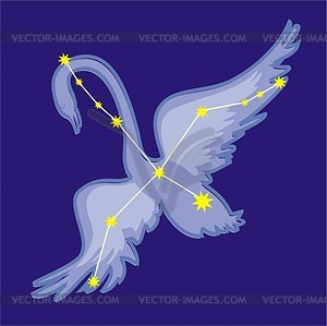 Constellation Cygnus   Vector Clipart