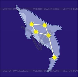 Constellation Delphinus   Vector Clipart