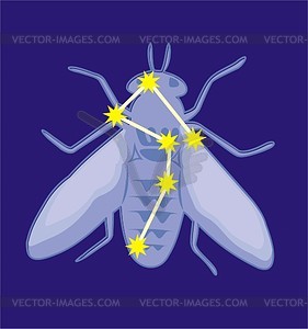 Constellation Musca   Vector Clipart