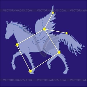 Constellation Pegasus   Vector Clipart