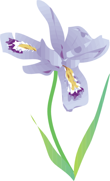 Dwarf Lake Iris Clip Art At Clker Com   Vector Clip Art Online