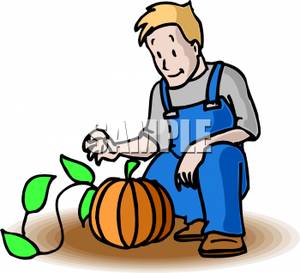 Man Tending To A Pumpkin Plant   Royalty Free Clipart Picture