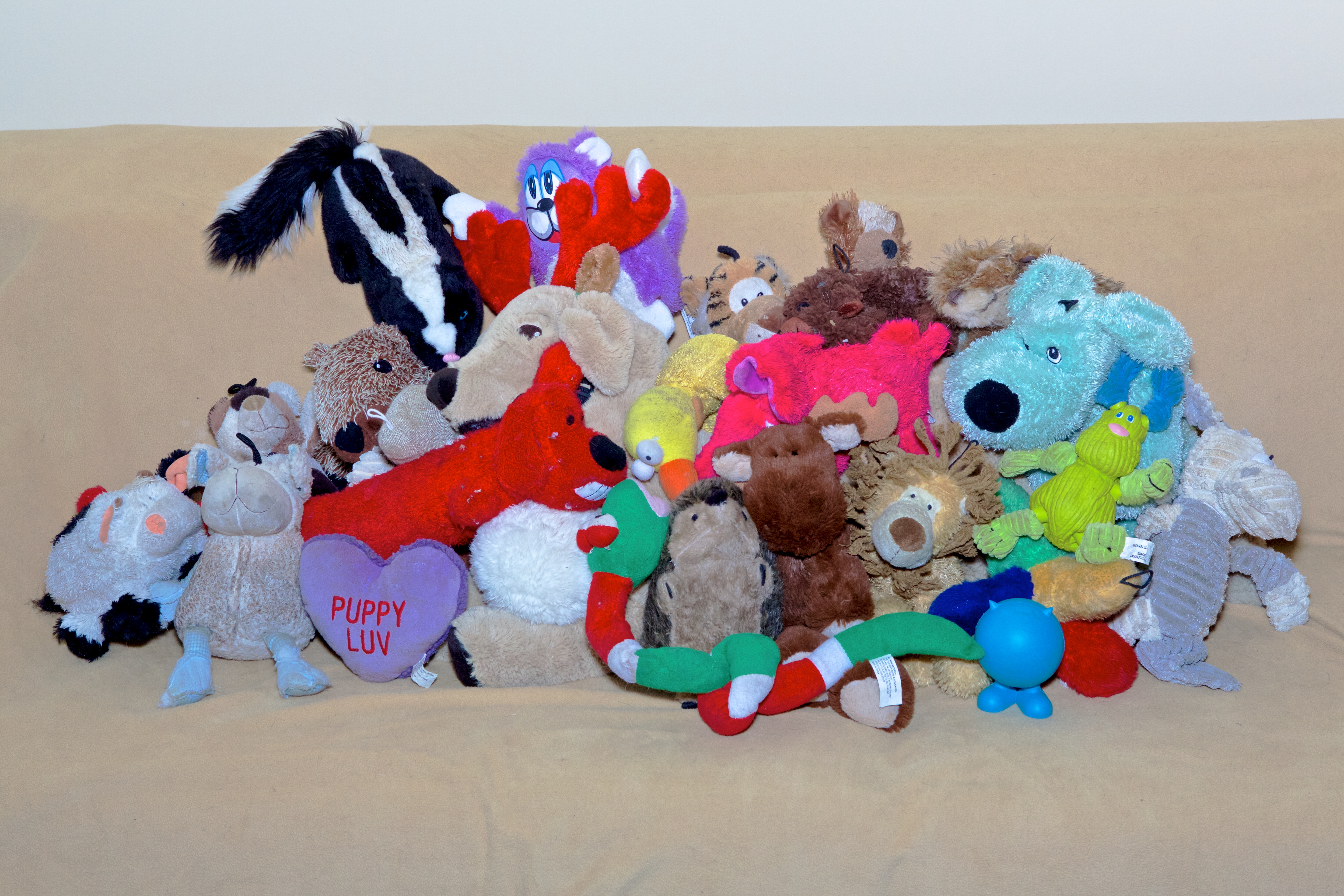 Pile Of Dog Toys A More Traditional Image Of